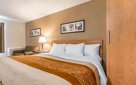 Comfort Inn Riviere-du-Loup